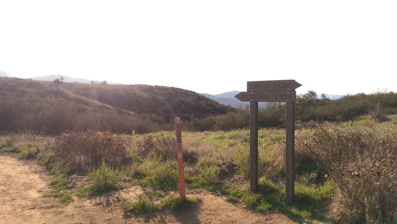 Yucaipa Regional Park trail junction.  From here, you leave the dirt road and follow the regional park trail.