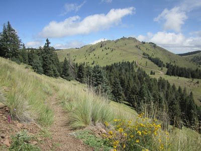 Looking toward La Mosca on Gooseberry Trail.