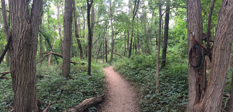 One of the interesting features on the mountain bike loop