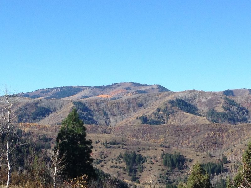A view of the surrounding hills and some of the remaining fall colors