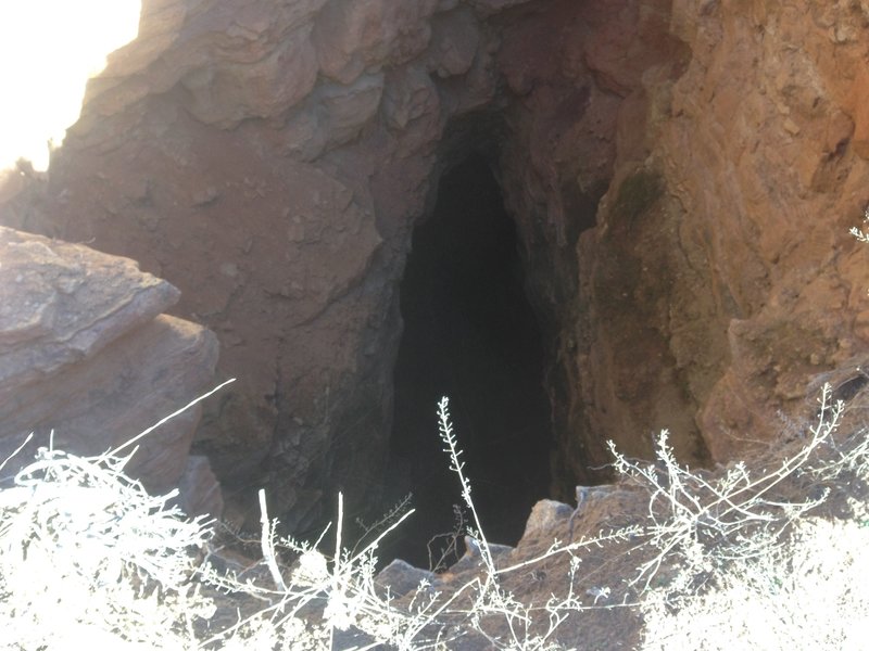 A view down into the sink near the Ephraim's Cutoff trail. Apparently this sink is around 120 feet deep, which is why you cannot see the bottom