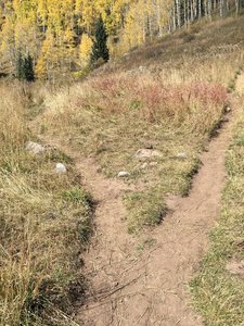 To reach Castle Rock, bear right, up the hill, at this unmarked junction.