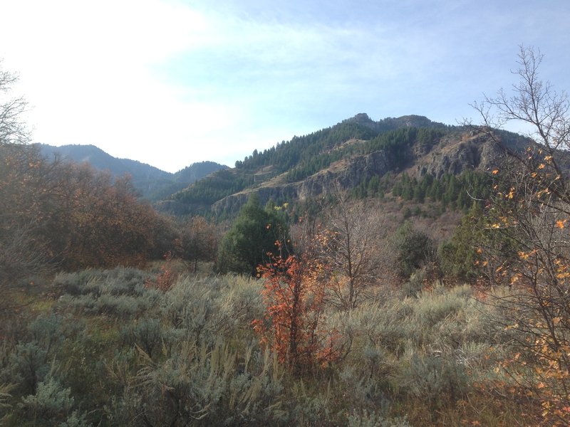 A view of Mill Hollow from the Bridger Overlook.