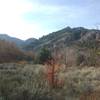 A view of Mill Hollow from the Bridger Overlook.