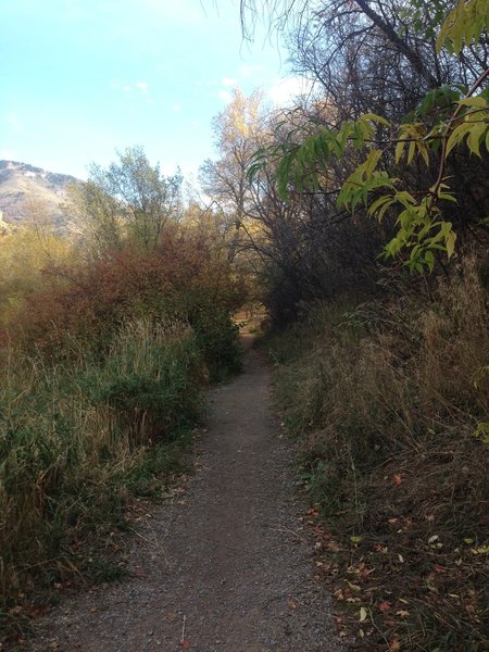 The trail heading toward Spring Hollow from Third Dam.