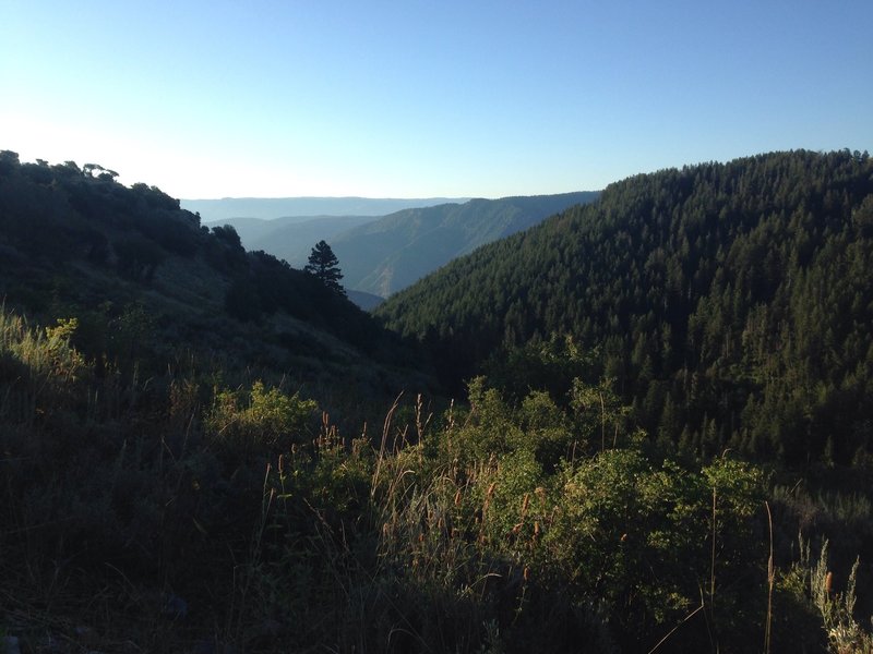 A view into Leatham Hollow and Blacksmith Fork Canyon from the Millville Canyon Road