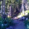 Catherine Pass Trail