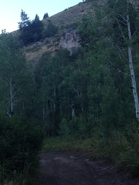 A view of the trail and some of the surrounding vegetation and features above Leatham Hollow