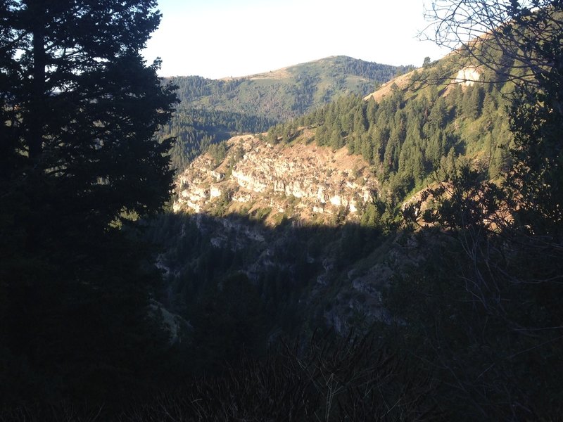 A view of some of the cliffs of Leatham Hollow