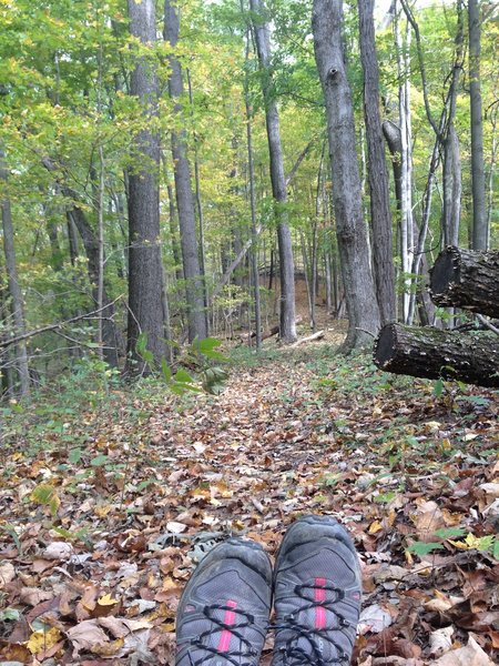 Ohio View Trail in early autumn.