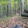 Ohio View Trail in early autumn.