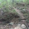 Dry creek bed crossing.