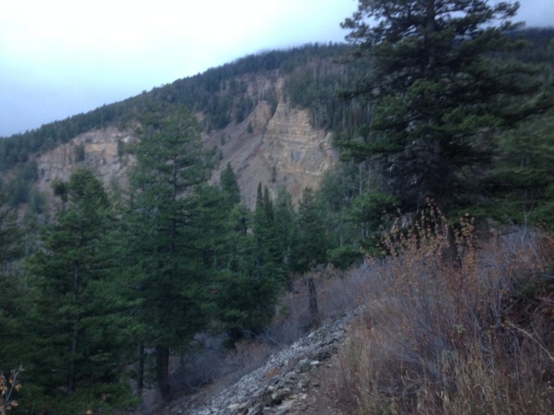 A view of some of the cliffs visible near the karst sinks area of the Spring Hollow Trail.