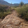 Interesting striated rock formations along Cardiac Hill.