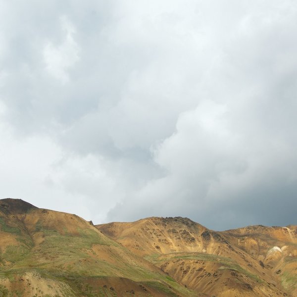 Denali Landscape (dry).