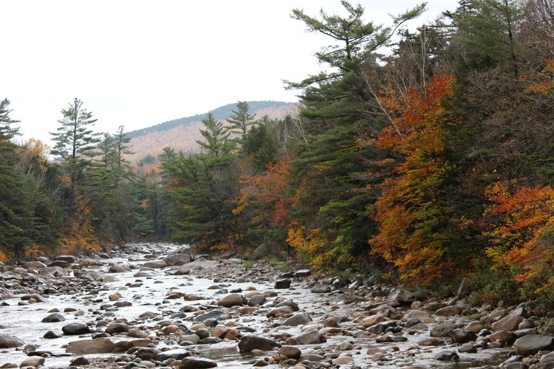 Pemigewasset River