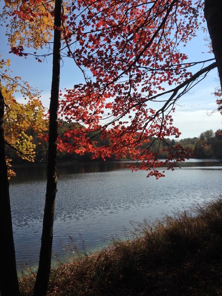 Lake Frank in the fall.