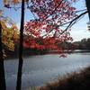 Lake Frank in the fall.