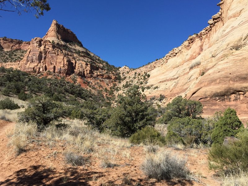 Looking into a sandstone side canyon.