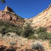 Looking into a sandstone side canyon.