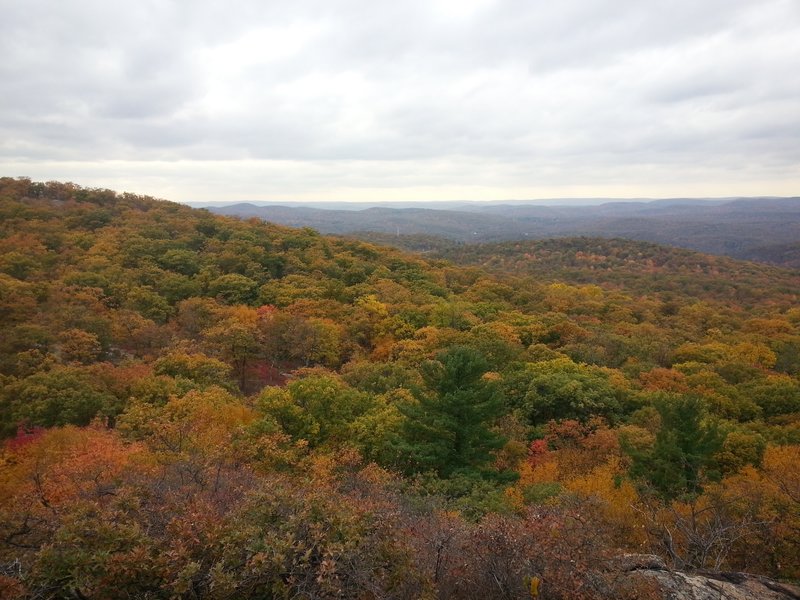 Fall color on 7 Hills trail.