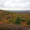 Fall color on 7 Hills trail.