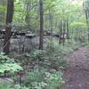 Abandoned railroad bed that was converted into a trail.