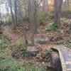 The first of many bridges on the Cisler Trail.