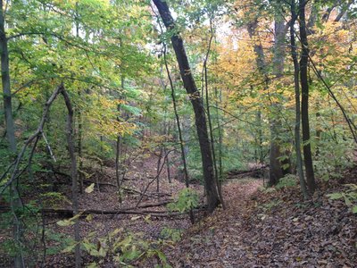 The trail during early autumn.