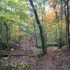 The trail during early autumn.