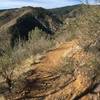 Heading up Mayhem Gulch.