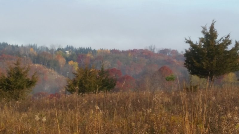 Beautiful fall colors and a light fog in the valley