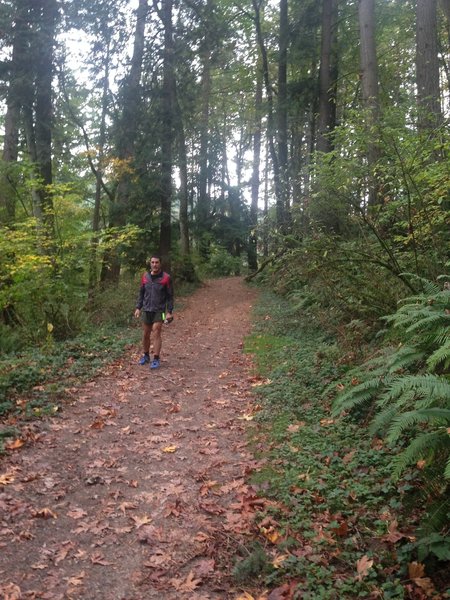 A runner nears the junction of the Wildwood Trail near the bottom of Holman Lane.