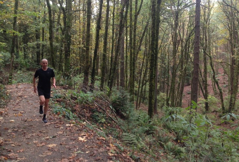 A runner jogs up the Birch Trail with a scenic ravine by his side.