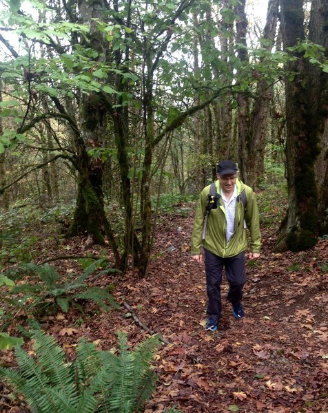 A hiker nears the Wildwood near the top of the Alder Trail.