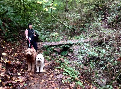 A woman walks her dogs along the beautiful Alder Trail.