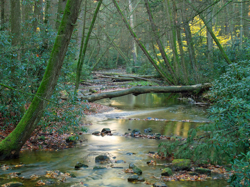 Alan Seeger Natural Area.