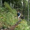 Along the Rauschberg mountain flank.