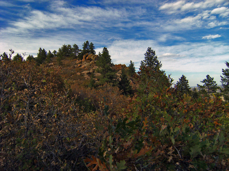 The summit of Carpenter Peak.