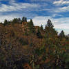 The summit of Carpenter Peak.