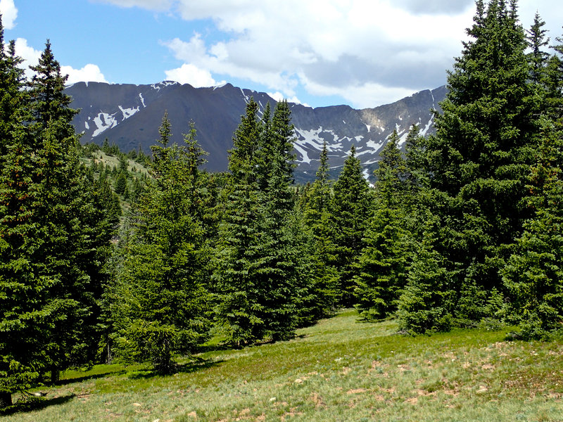 The trees start thinning revealing amazing views.