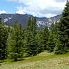 The trees start thinning revealing amazing views.