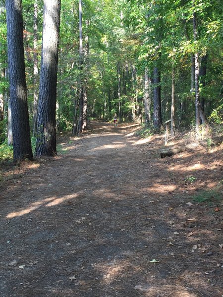 The section of trail on the north side of Lake Johnson follows a maintenance access road and is very wide and flat.