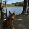 Scenic overlook on the south side of Lake Johnson.