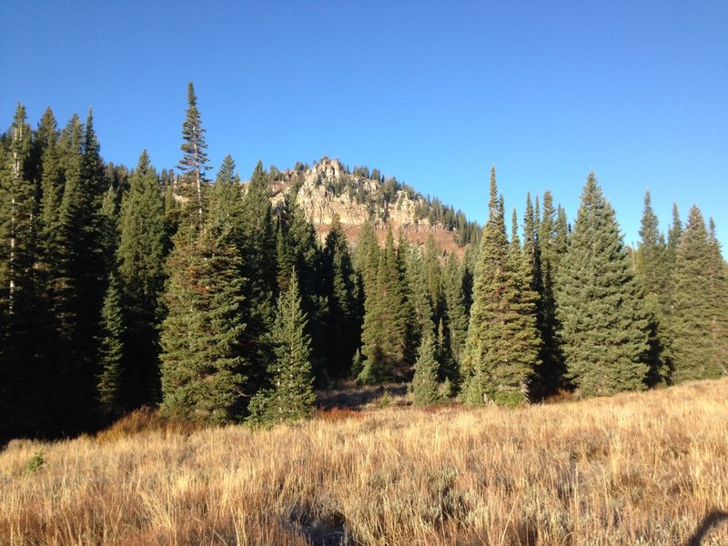 A view of some of the terrain up Steam Mill Hollow.