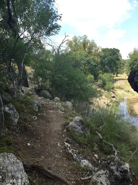 Great singletrack right near the start of the loop.