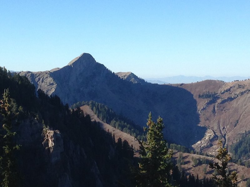 A great view of the north face of Cherry Peak from the ridge above Steam Mill Canyon (Doubletop Trail)