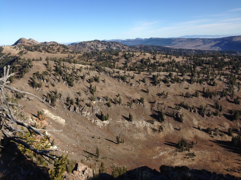 A view down into Steam Mill Canyon from Pika Peak.