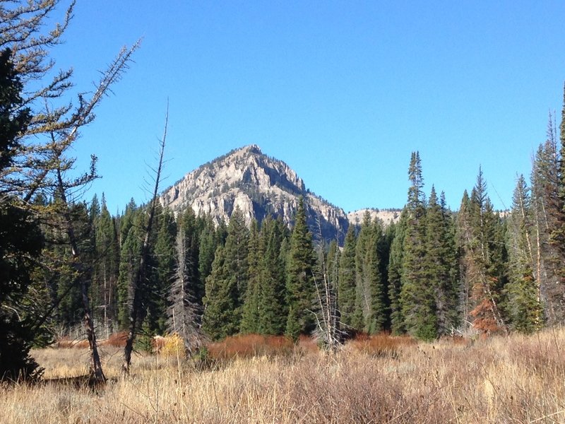 A last look at Mount Gog from a small cattle trail in White Pine Canyon.