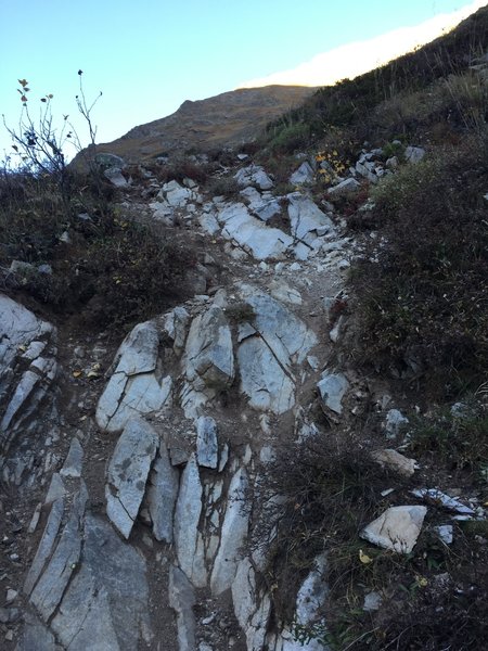 The 2800 ft of suck, aptly named, features many annoying spots such as this one. It's not especially easy going on the Maroon Peak Trail.